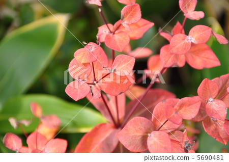 Hakusan Taiki Hakusan Taiki 5690481