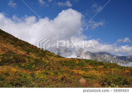 白馬白馬在秋天 5690483