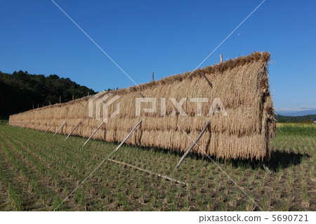 Rain sunny sun 5690721