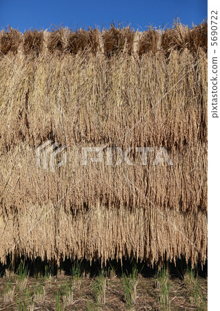 Rain sunny sun Rain sunny sun 5690722