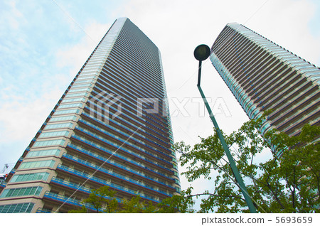 Musashi Kosugi的高層建築群 Musashi Kosugi的高層建築群 5693659