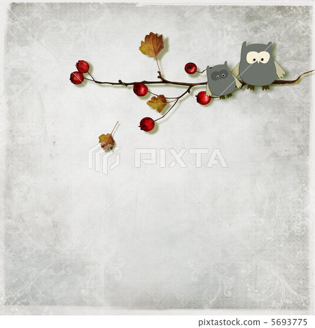 Owl on texture background Owl on texture background 5693775