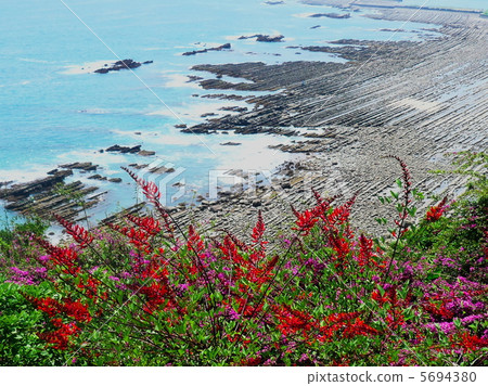 Chiba rock on the Nichinan Coast 5694380