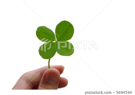 Four leaves of clover white outline 5694594