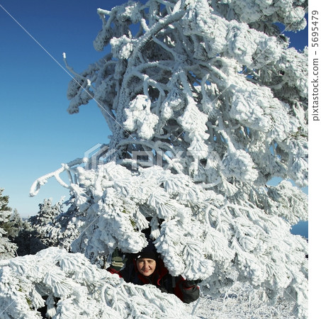 Winter holiday 5695479