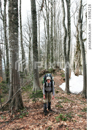 Hike in forest Hike in forest 5696216