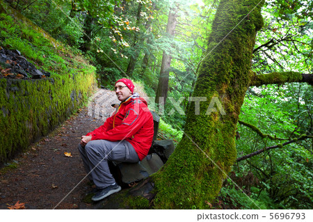 Man in forest 5696793