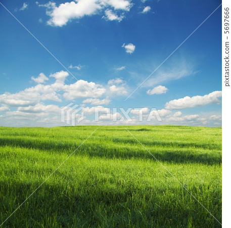 Grassland 5697666