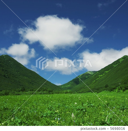 Green mountain Green mountain 5698016