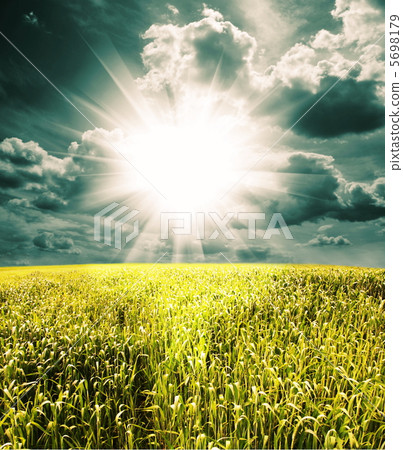 Field 5698179