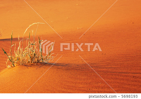 Sand desert Sand desert 5698193
