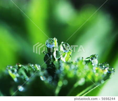 Drops Drops 5698244
