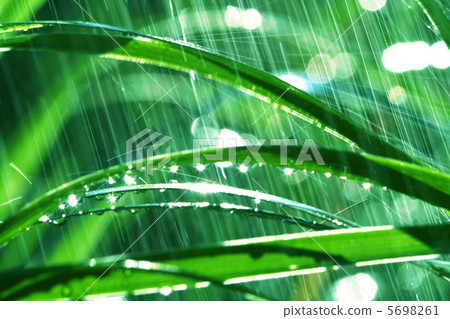 Rain Rain 5698261