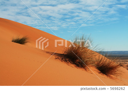 Desert Desert 5698262