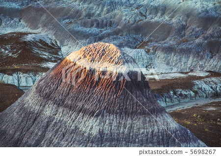 Petrified forest 5698267