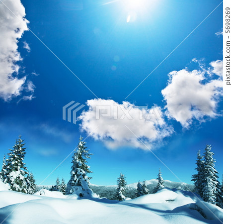 Winter forest 5698269