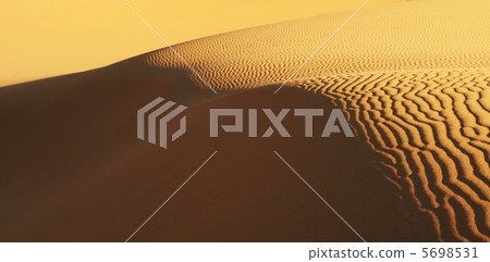 Dune 5698531
