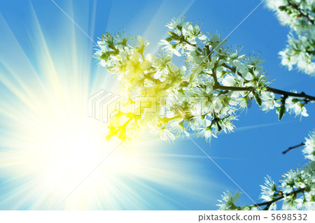 Spring Spring 5698532