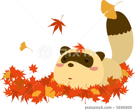 Fallen leaves and raccoons Fallen leaves and raccoons 5698800