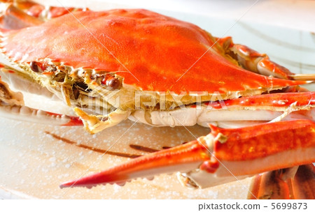 Takezaki crab Takezaki crab 5699873