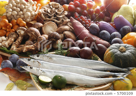 秋天的味道 5700109