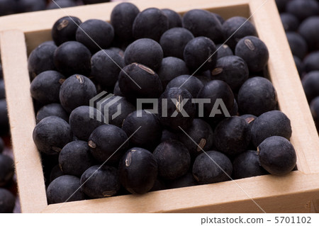 來自Tamba Sasayama的黑豆 5701102