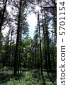 森林沐浴 5701154