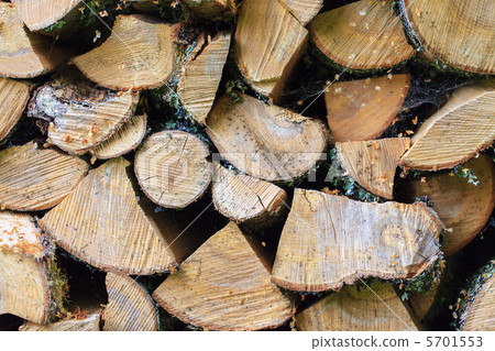 Background of Stacked Chopped Firewood Logs Background of Stacked Chopped Firewood Logs 5701553