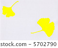 Ginkgo biloba 5702790