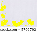 Ginkgo biloba 5702792