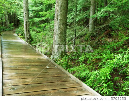 Boardwalk 5703253