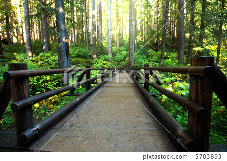 Boardwalk Boardwalk 5703893