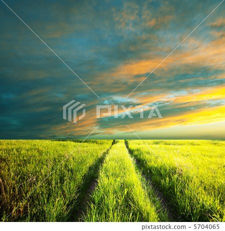 Green field 5704065