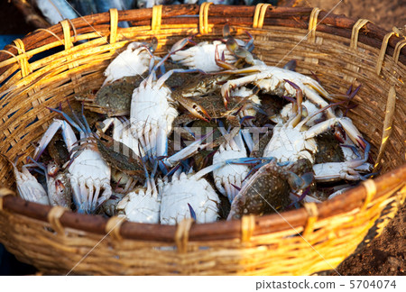 Fish market 5704074