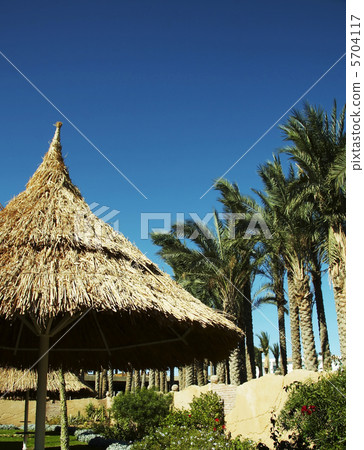 Tropic Tropic 5704117