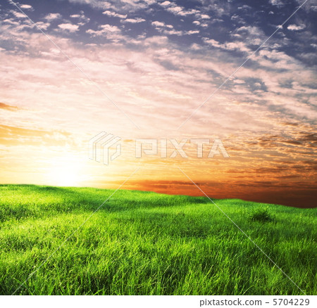 Field on sunset Field on sunset 5704229
