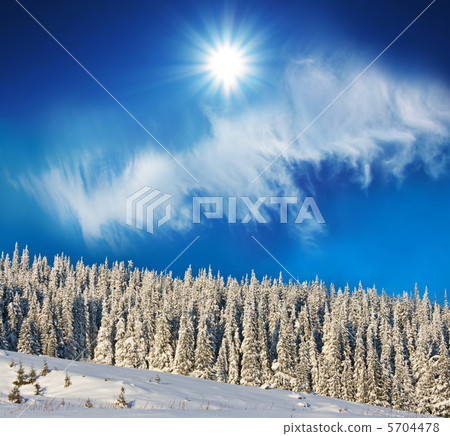 Winter scene Winter scene 5704478