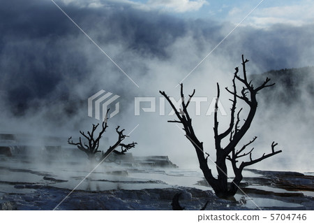 Mammoth hot spring in Yellowstone Mammoth hot spring in Yellowstone 5704746