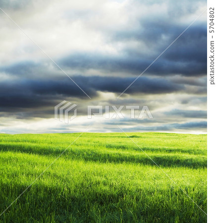 Field and storm clouds 5704802