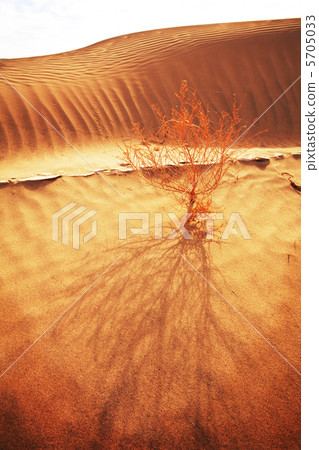 Desert Desert 5705033