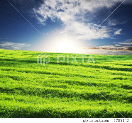 Grassland Grassland 5705142