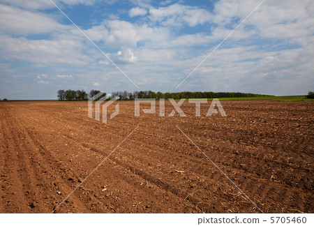 Spring field 5705460