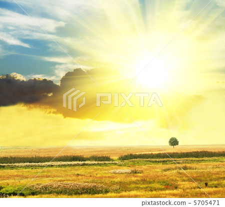 Field Field 5705471