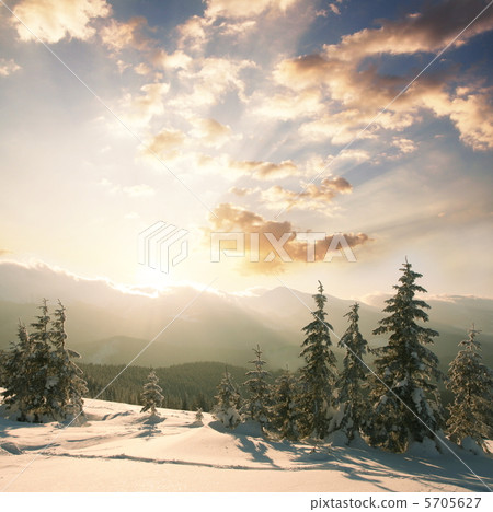 Winter Winter 5705627