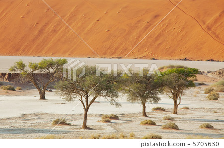 Namib Namib 5705630