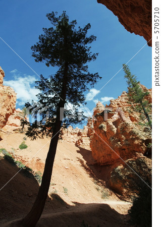 Bryce canyon Bryce canyon 5705710