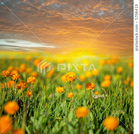 Mountains meadow Mountains meadow 5706419