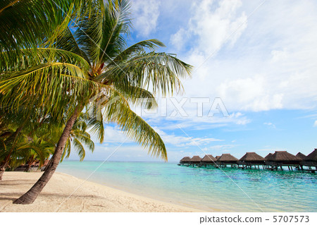 Perfect beach on Moorea 5707573