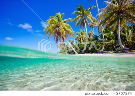 Tropical island 5707574