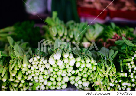 Herbs 5707595